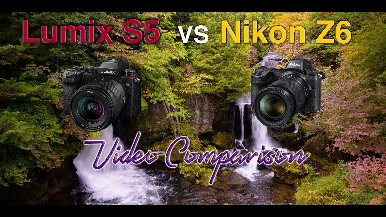 Panasonic Lumix S5 vs Nikon Z6 video comparison: 10 bit vs 8 bit