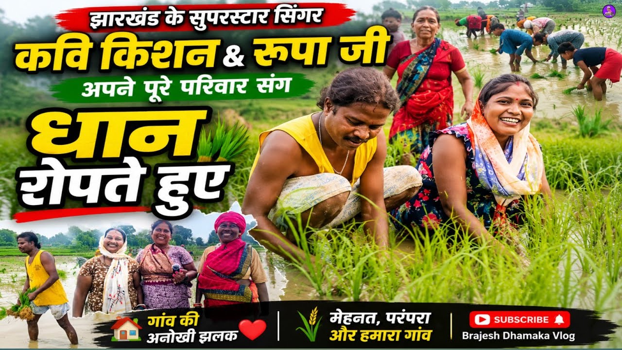 कवि किशन भैया जी के पूरे परिवार रोपा रोपे।साथ ही साथ गाना भी गाए। #kavikishan  #brajeshdhamaka 