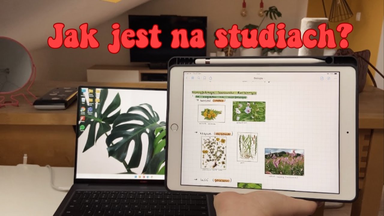 Moje pierwsze 2 tygodnie na Weterynarii!