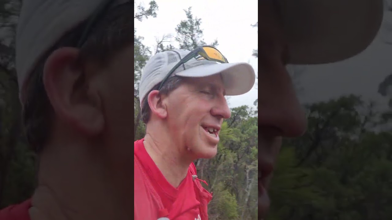 75min Long Run on the Nature Track at Wentworth Falls - 11/01/26