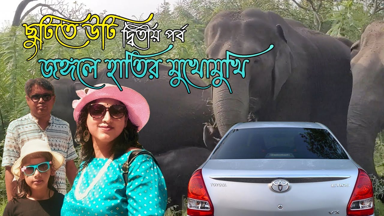 Bangalore to Bandipur | Mudumalai Night Stay and Safari  | Elephant Encounters 