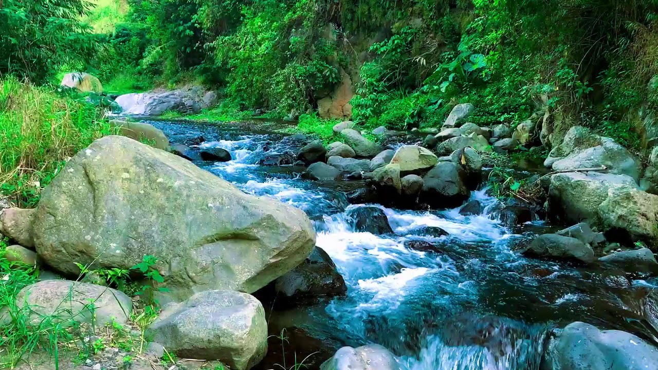Natural Green Stream Flow Atmosphere | For Focus, Mood Boost & Yoga