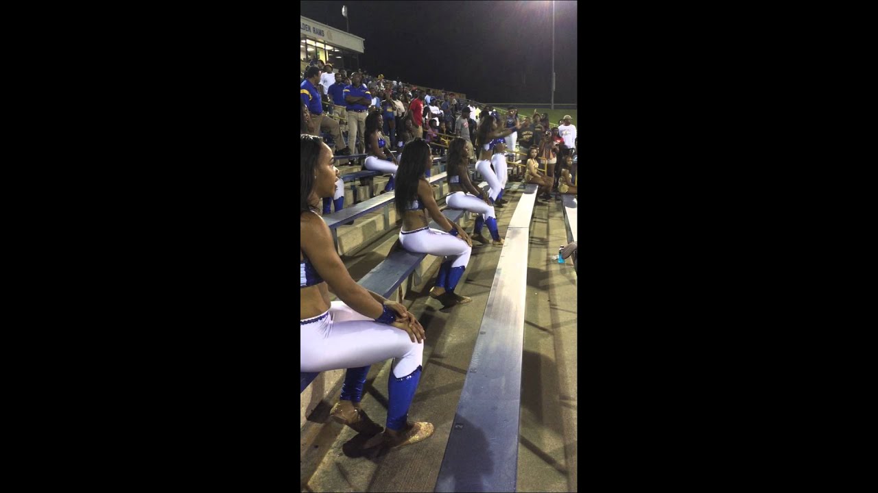 Albany State University Golden Passionettes 2015 - Strange/ Skin I'm In