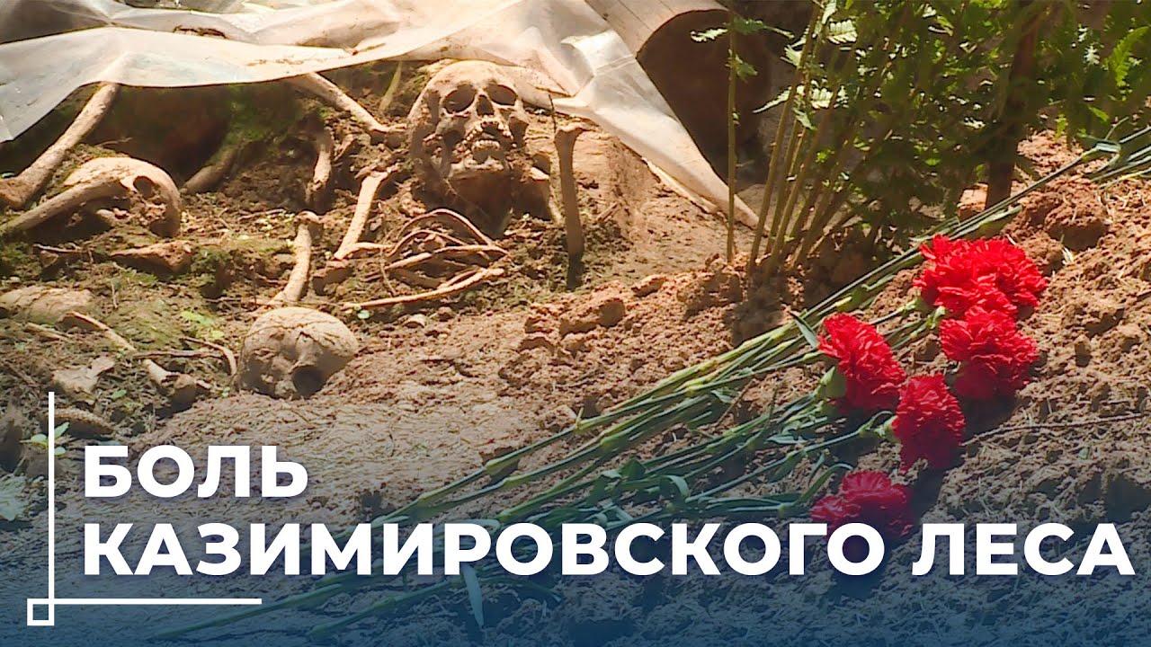 КАЗИМИРОВСКИЙ РАССТРЕЛЬНЫЙ ЛЕС / Около 10 тысяч жертв / Без срока давности