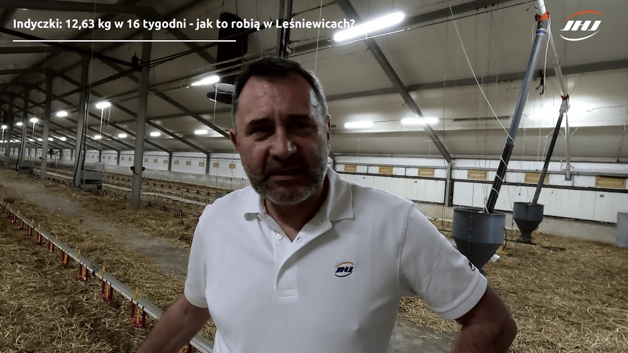 Indyczki: 12,63 kg w 16 tygodni - jak to robią w Leśniewicach?