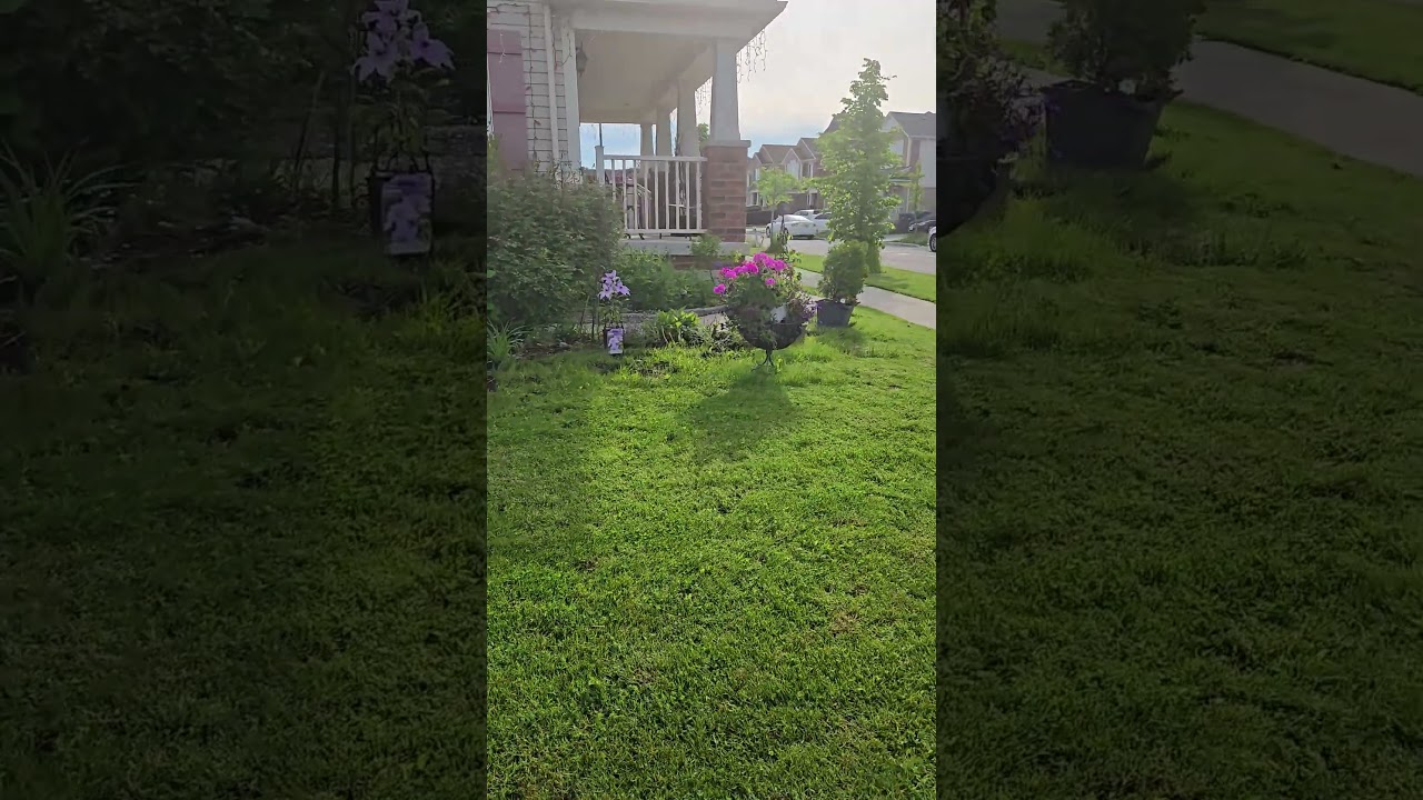 #gardening #canadadiaries #canadablogger