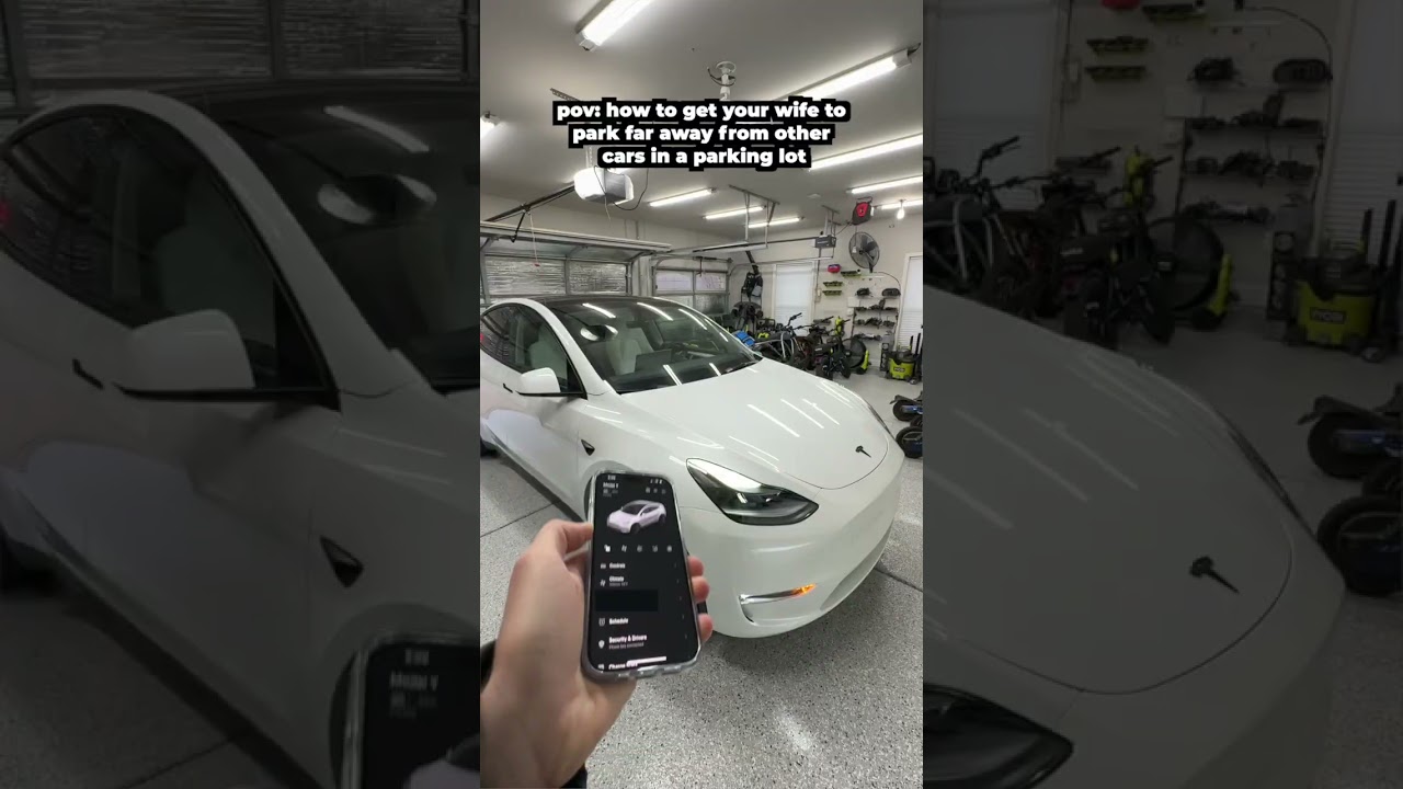 Hilarious Tesla Lock Sound! 🔊