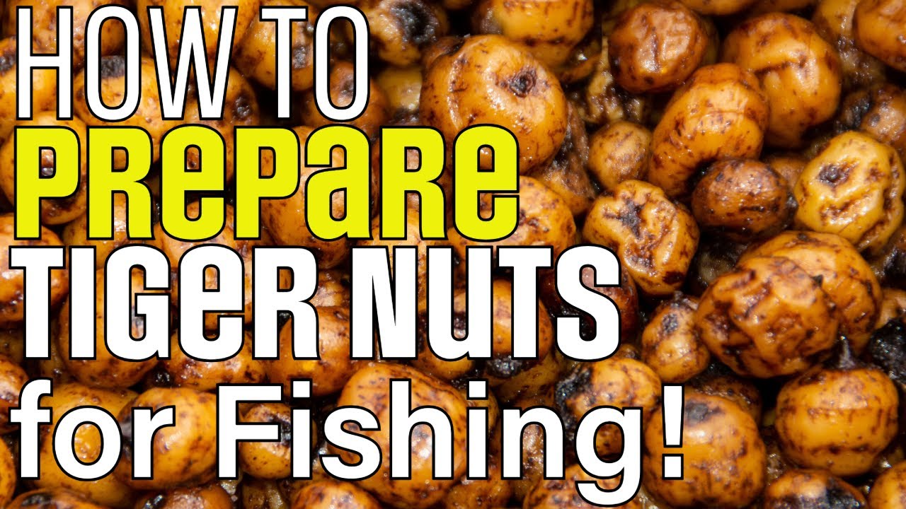 How To Prepare Tiger Nuts for Fishing! #fishing #carpfishing #fishingbait #bait