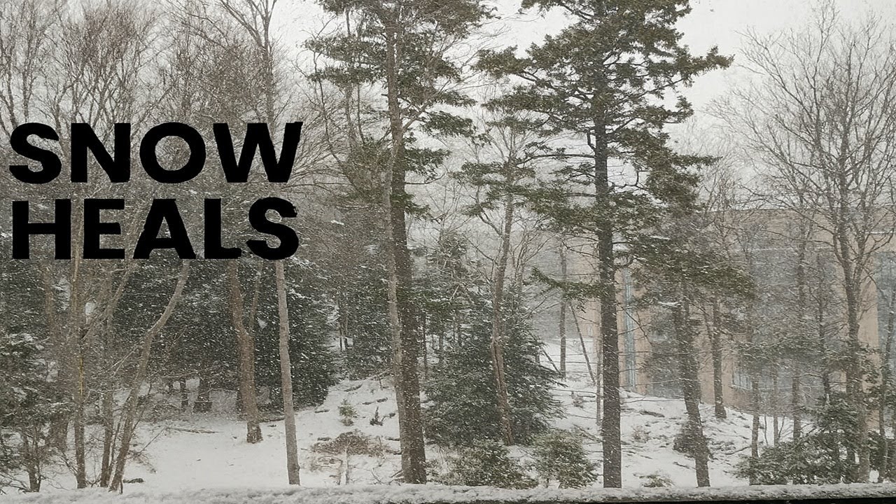 Why Does Snow Heal The Soul?#WinterPeace #CanadaSnow