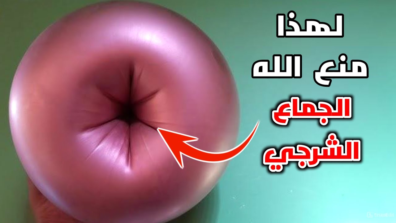 شاهد لماذا حرم الله الجماع من فتحة الشرج