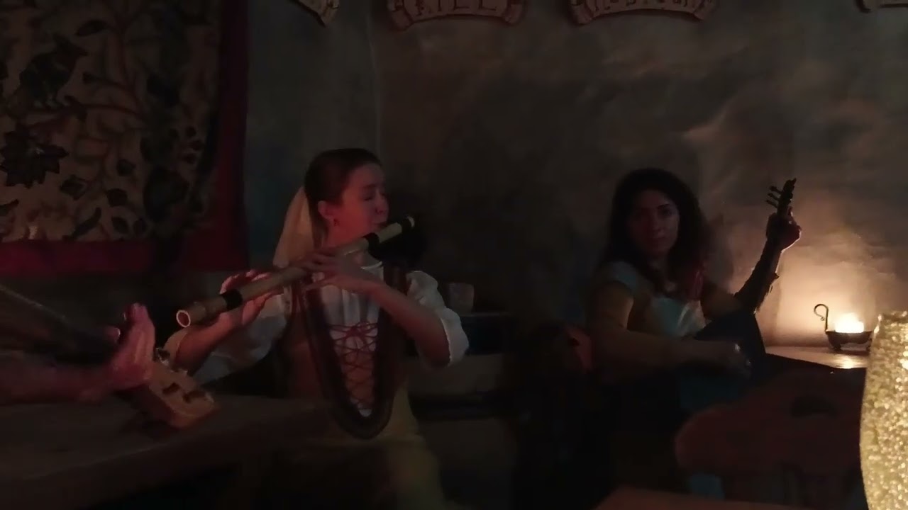 Music in Restaurant in Tallinn Estonia 