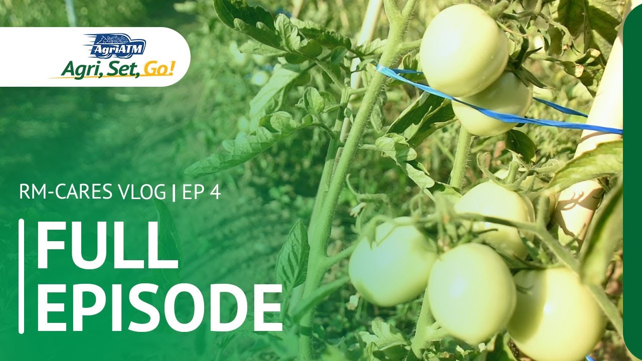 AgriATM Agri, Set, Go! Episode 4 🍃 | CLSU RM CARES Vlog