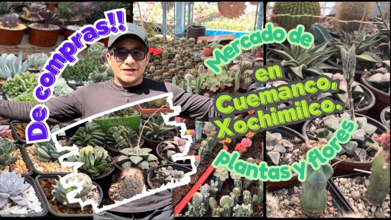 De compras en Cuemanco Xochimilco, Mercado de plantas y flores