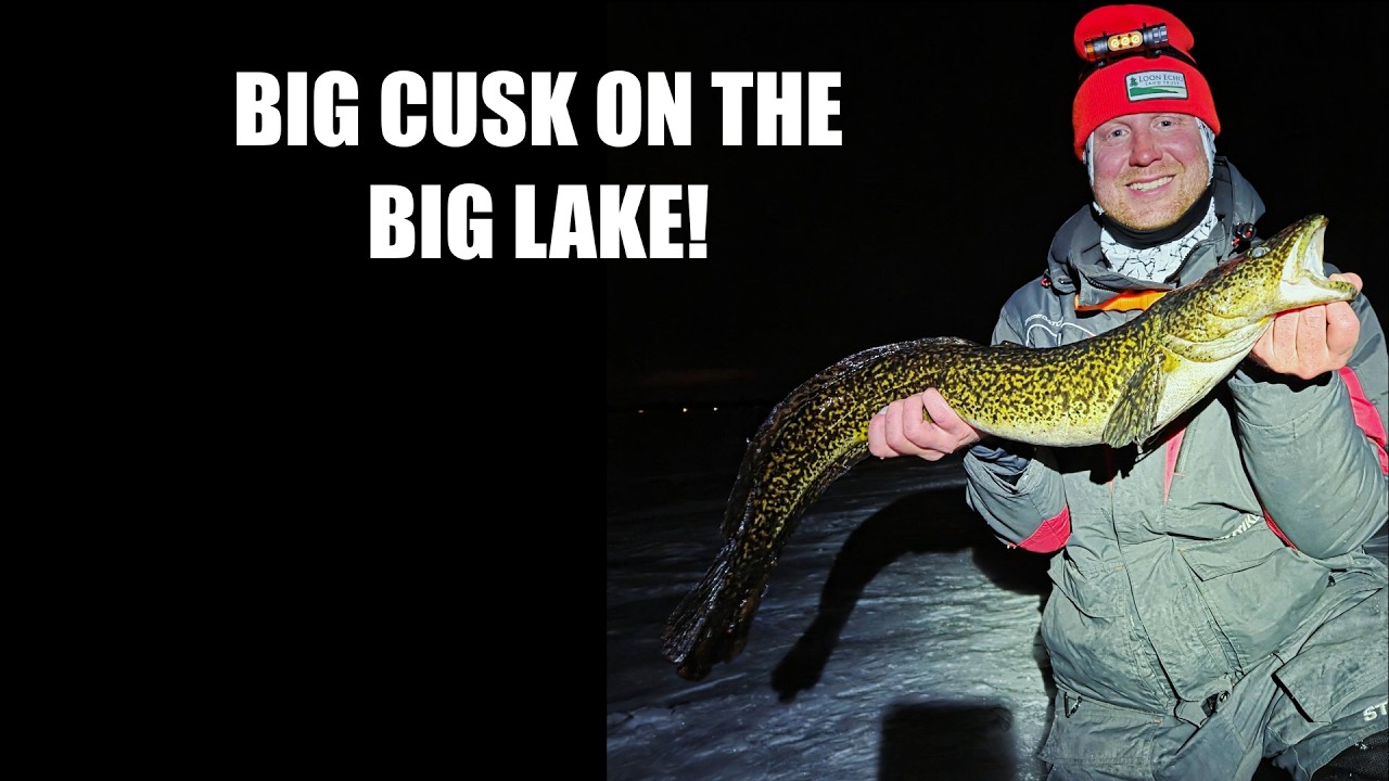 Big Cusk On Big Bay Sebago Lake!