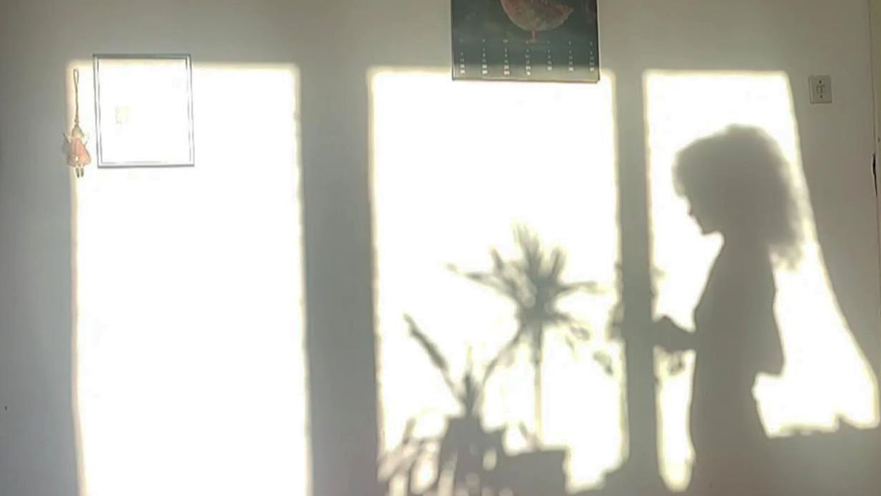 Cristina Lupu - Forget That I Exist (Visualizer)