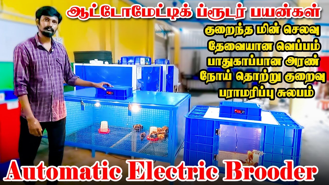 குறைந்த மின் செலவில் பாதுகாப்பான ப்ரூடர் அமைப்பு | Automatic Electric Brooader