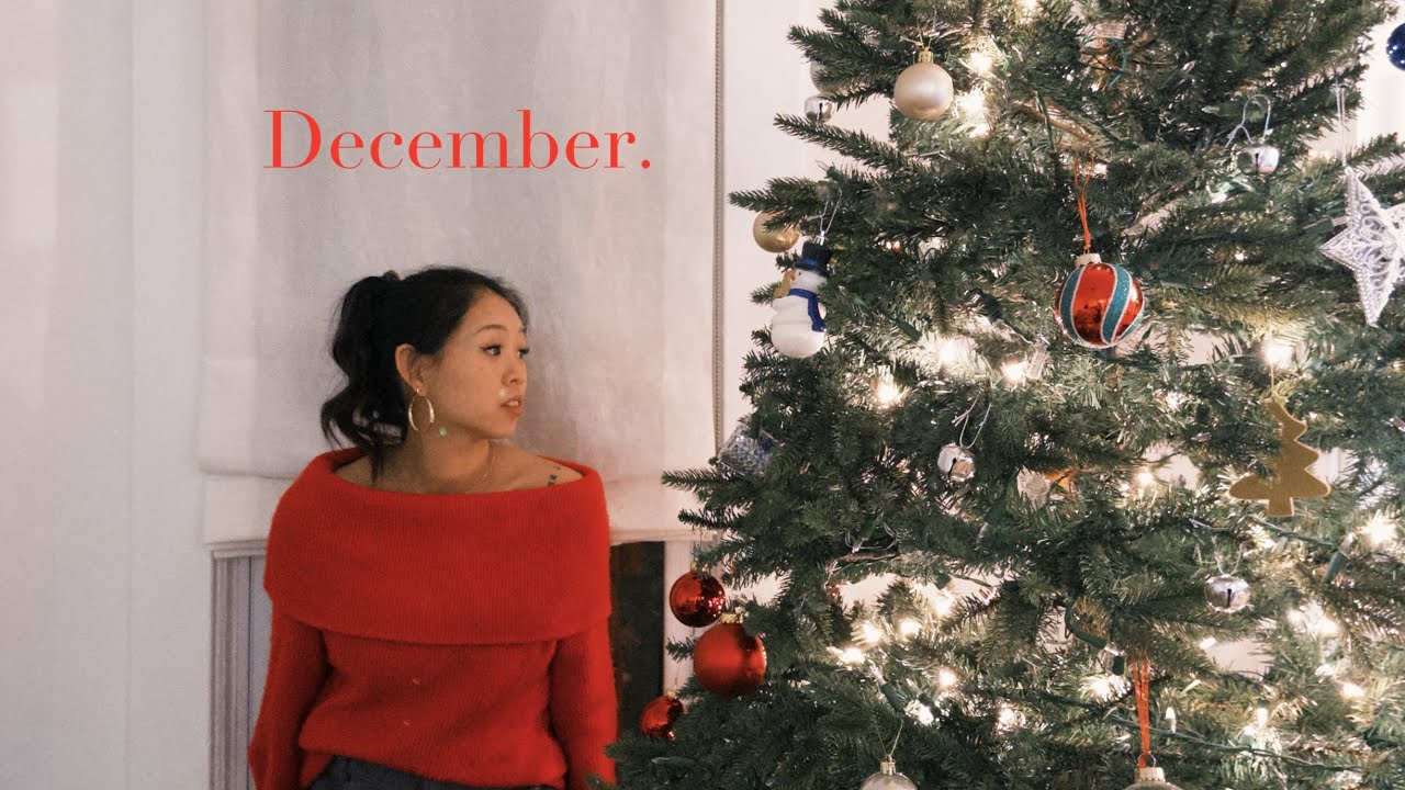 December Vlog | Gender Reveal Party, Merry Christmas & Happy New Year | Aliss Sd