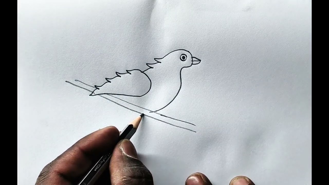 Sketching Easy Bird Pencil Sketch | Cute Bird Sitting on Branch Drawing for Beginners