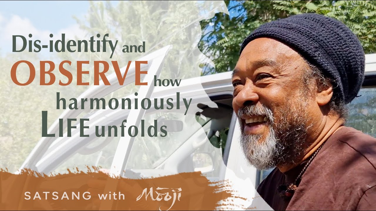 Dis-identify and Observe How Harmoniously Life Unfolds