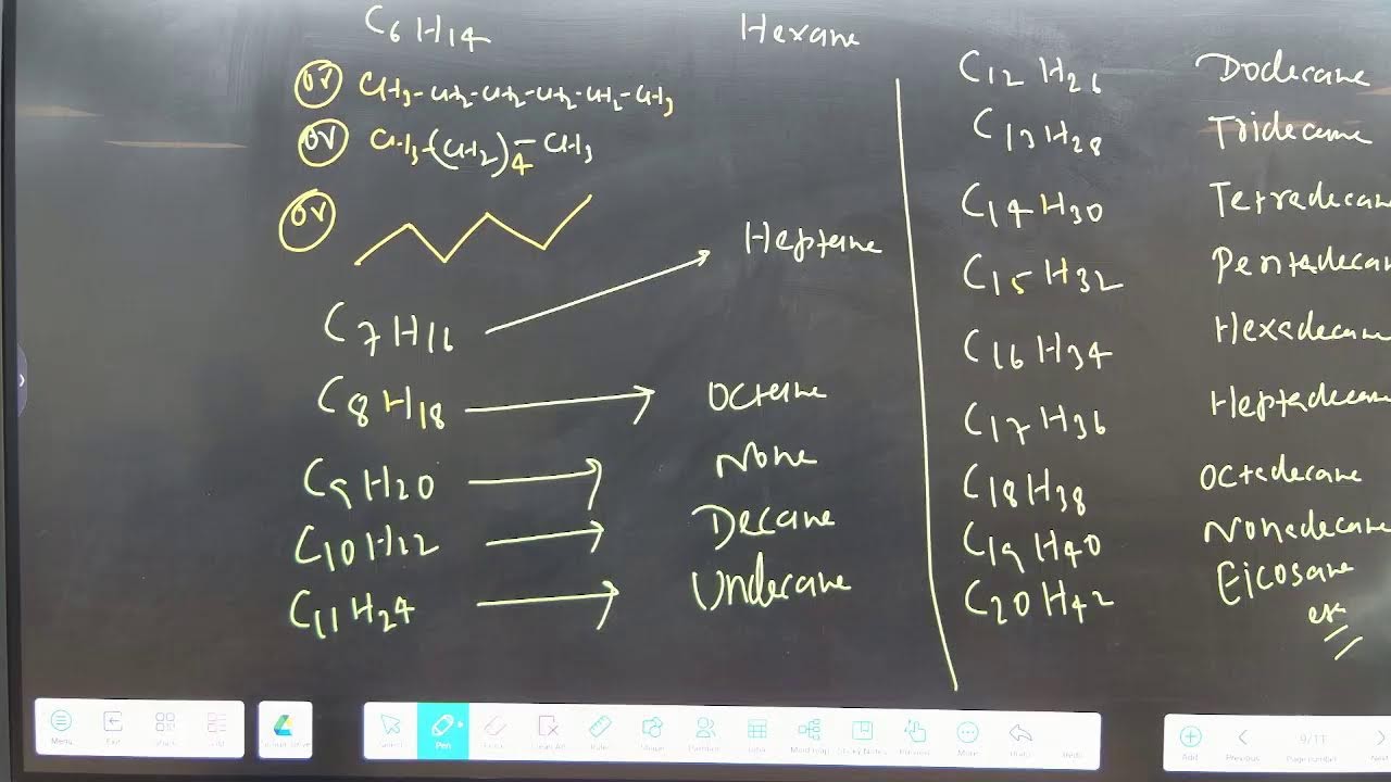 Rise Career Institute Live Stream