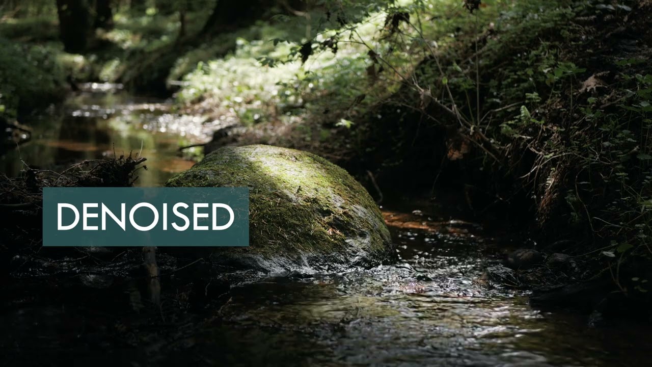 Field Recording - Mic Self Noise Reduction - New Denoiser Performance Test