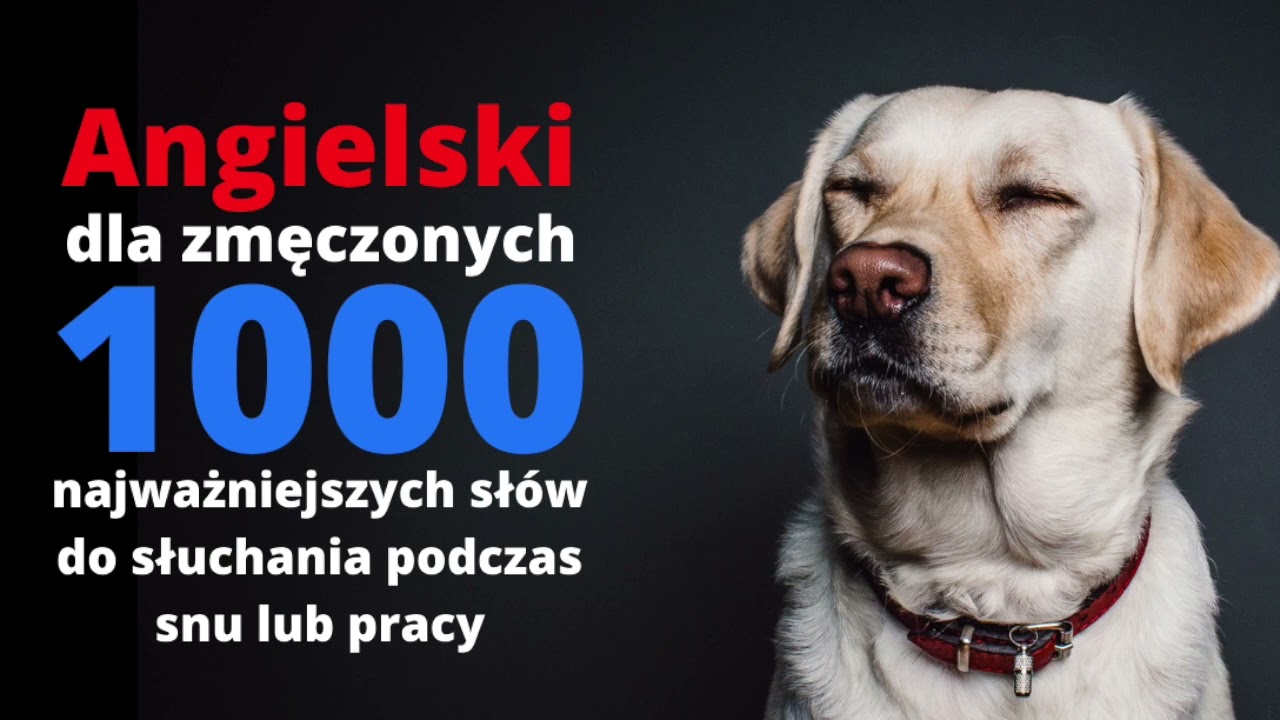 Angielski dla zmęczonych - 1000 najważniejszych słów do słuchania podczas snu i pracy (nauka języka)