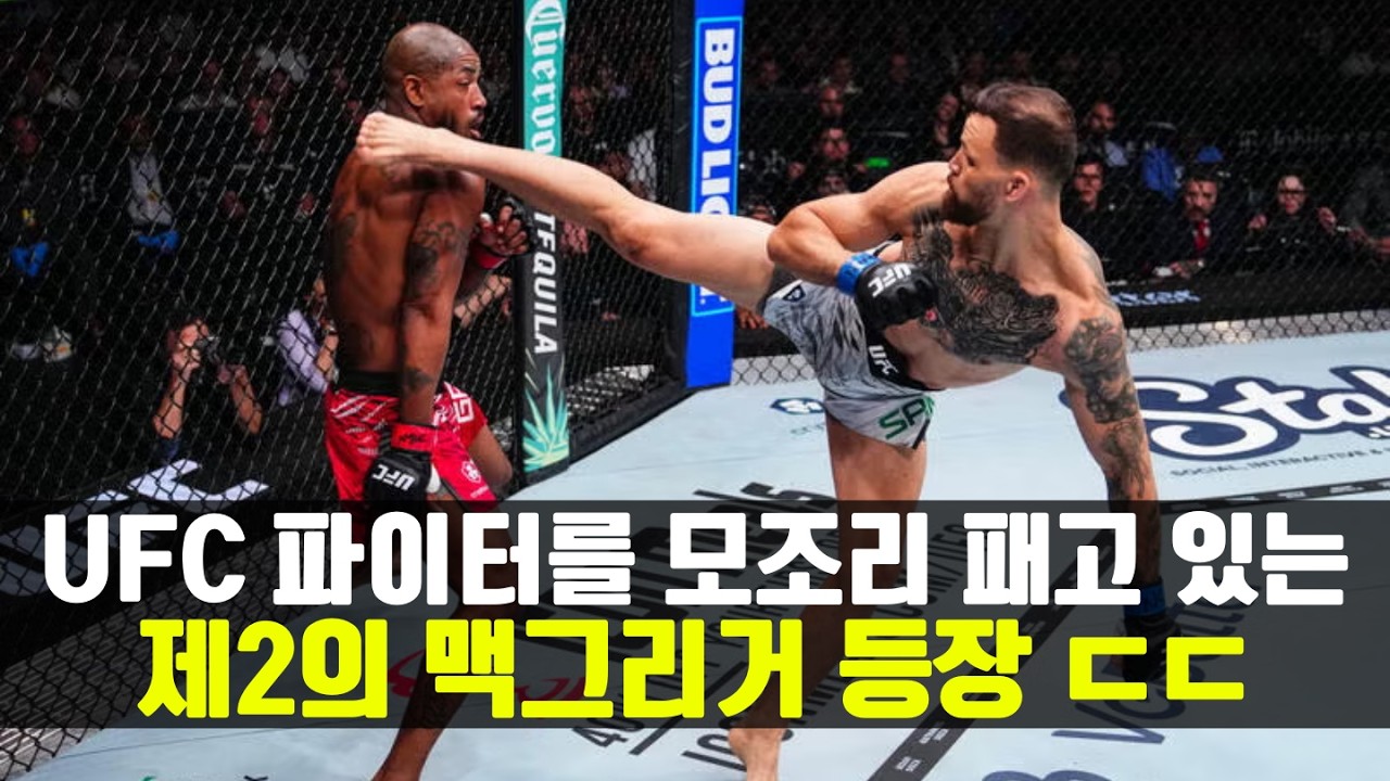 제2의 맥그리거의 등장!!? 등장하자마자 UFC 파이터를 모조리 패고있는 싸움 천재 ㄷㄷ