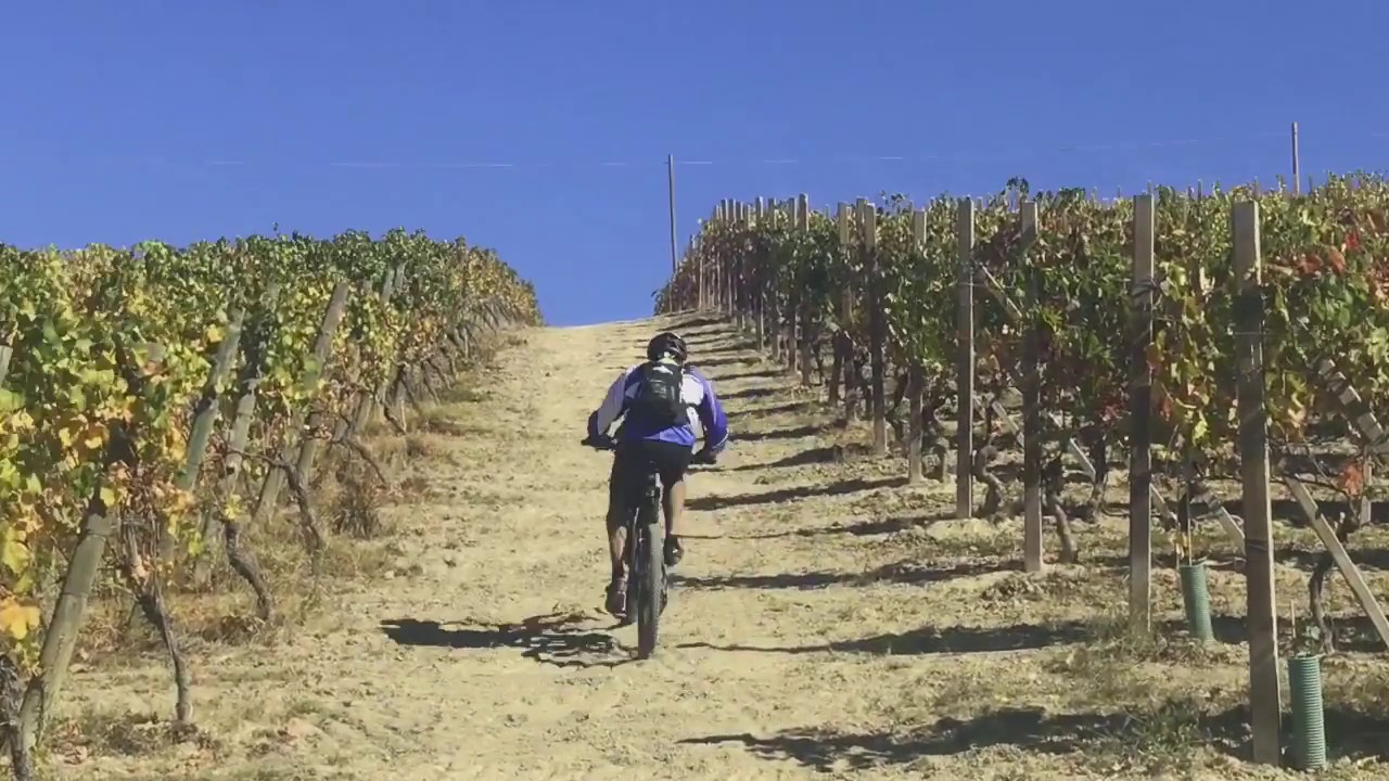 Gita in bici con una eBike in Langa e Roero - Guida MTB