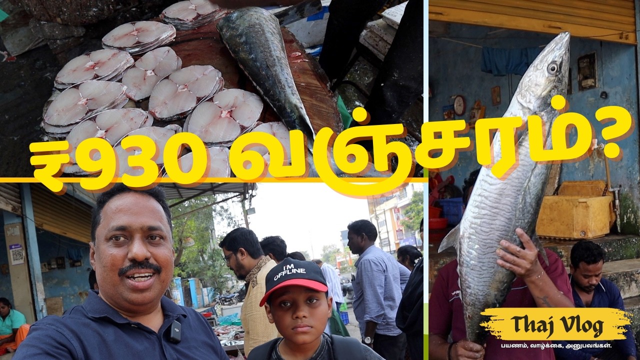 மீன் வாங்க போனோம்… ₹930 வஞ்சரம்?! 😲 | Thaj Vlog