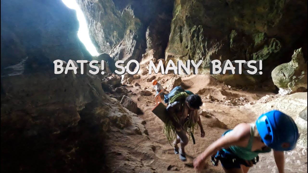 Self Driving Southern Thailand: What! Bats? #cave and #rappelling #railaybeach