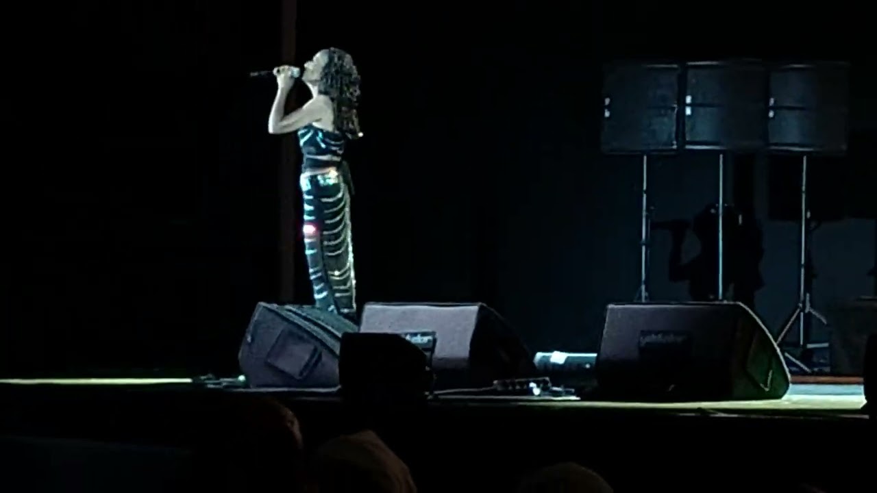 Yıldız tilbe Ankara konseri