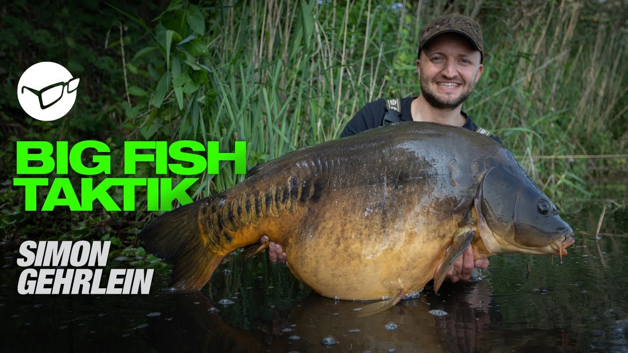 Simon Gehrlein´s BIG FISH TAKTIK | SESSION LOG
