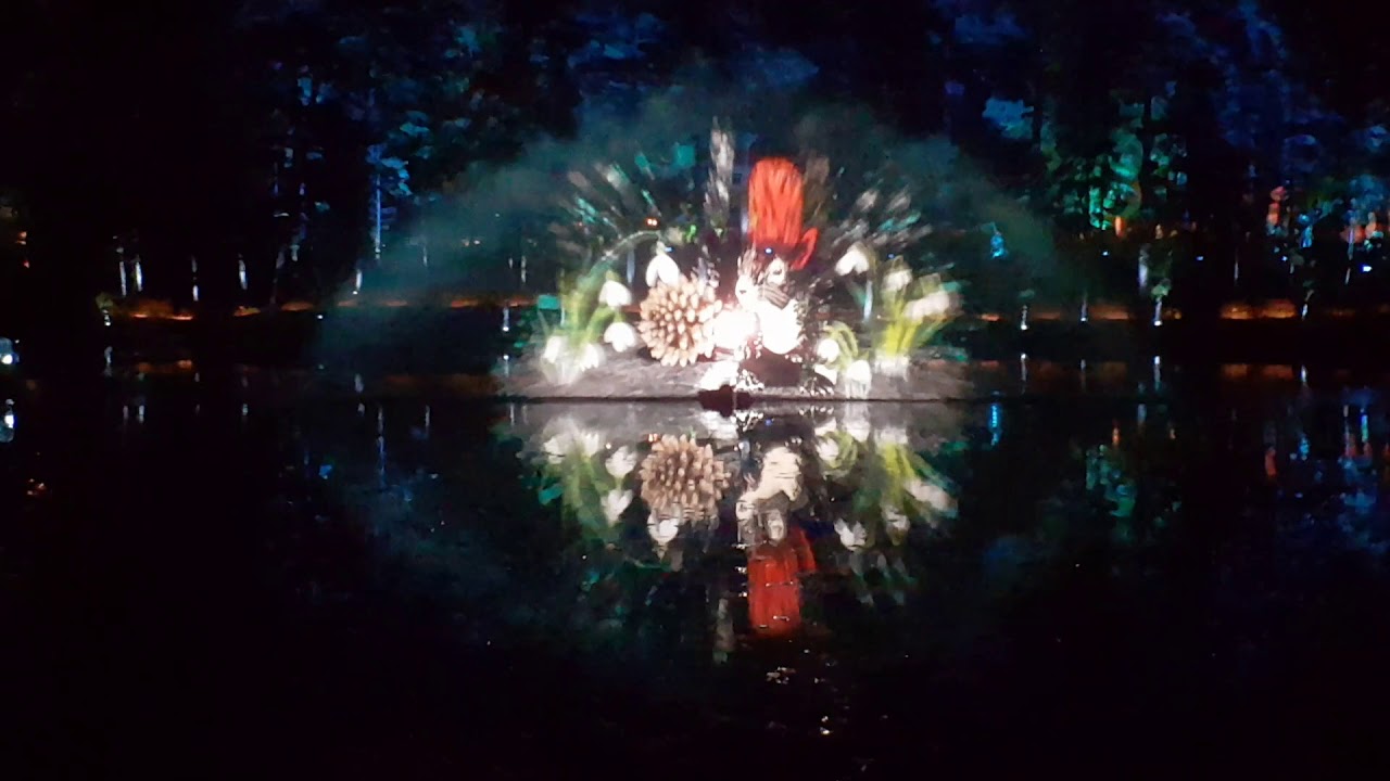 Enchanted forest pitlochry of the wild 2018