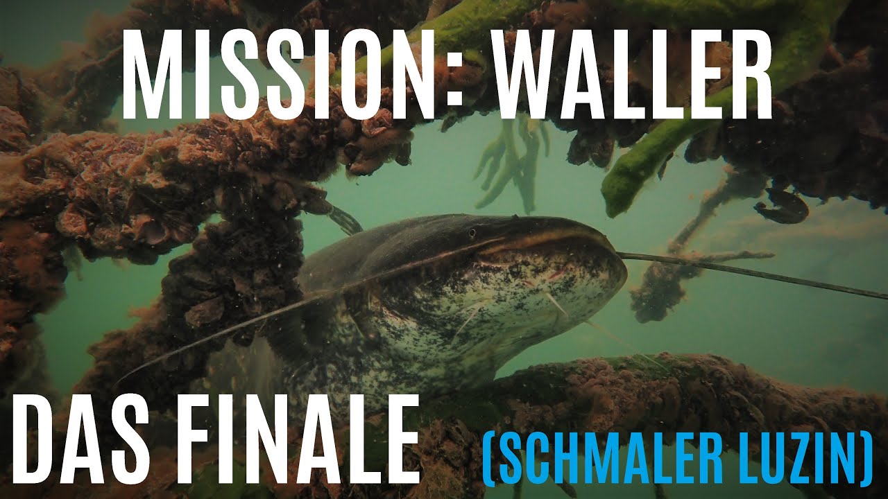 Schnorcheln im Schmalen Luzin | MISSION WALLER - DAS FINALE