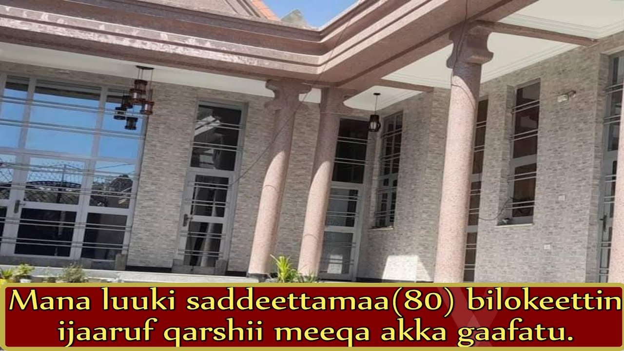 mana luuki saddeettamaa(80) bilokkeettin ijaaruf qarshii meeqa akka gaafatu.