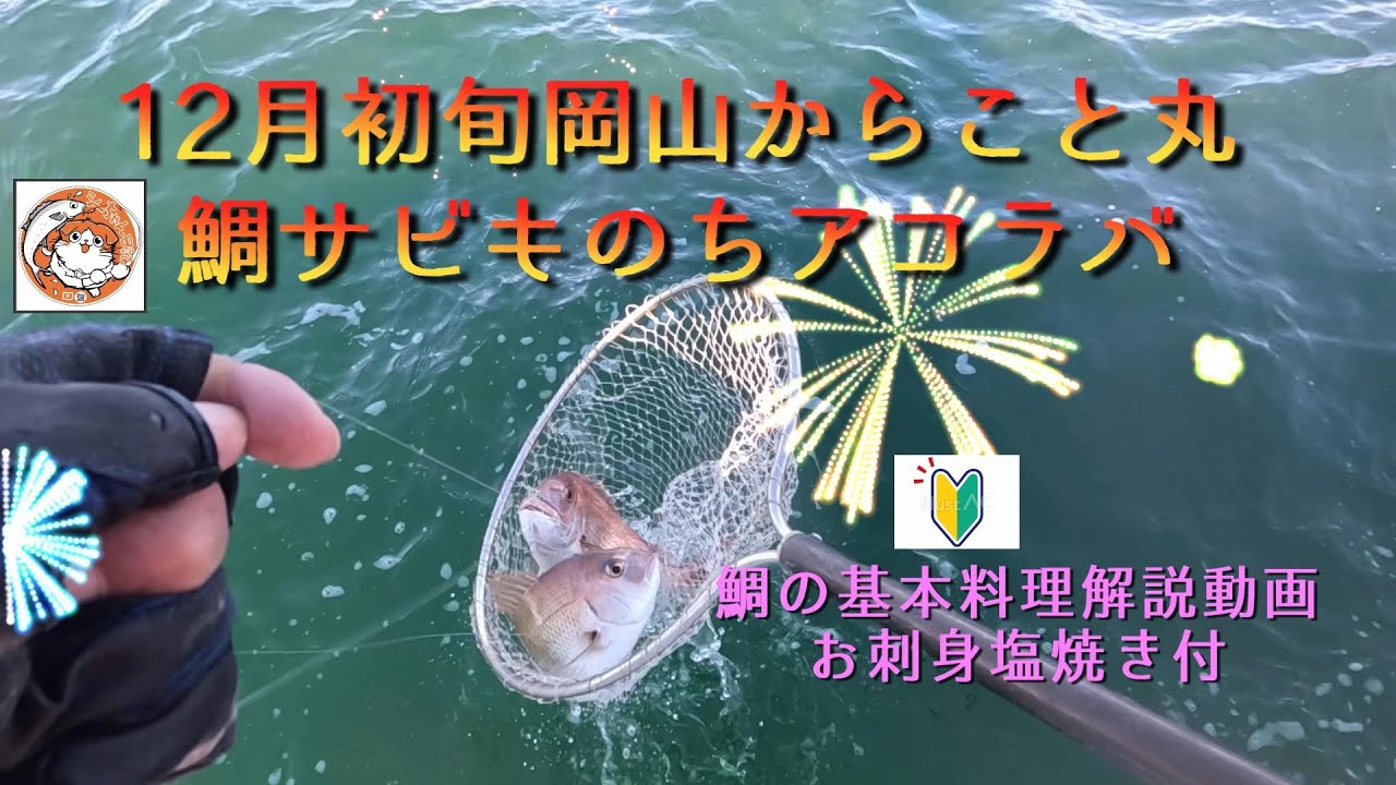 岡山船釣り　鯛サビキ　アコラバ　からこと丸＃鯛サビキ＃boat fishing＃アコラバ＃鯛三枚卸＃岡山 釣り船 ＃タイラバ 瀬戸内海