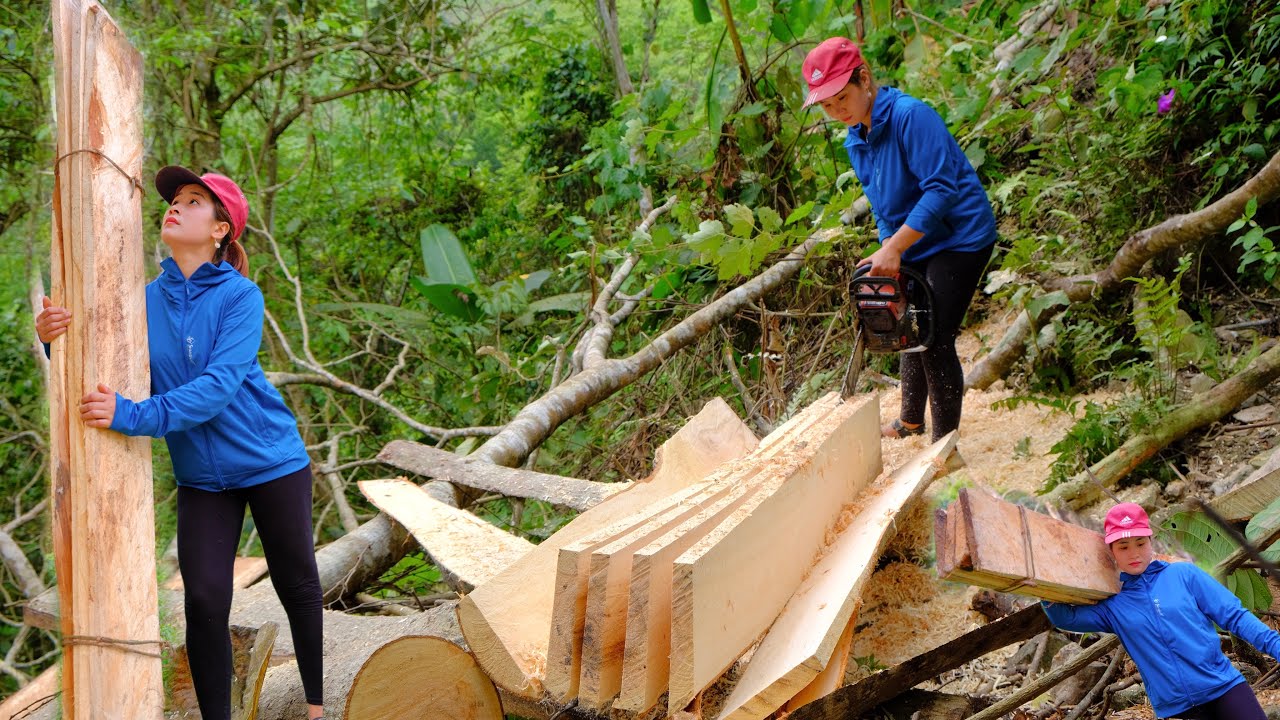 The girl saw the wood and took it home to build a new house