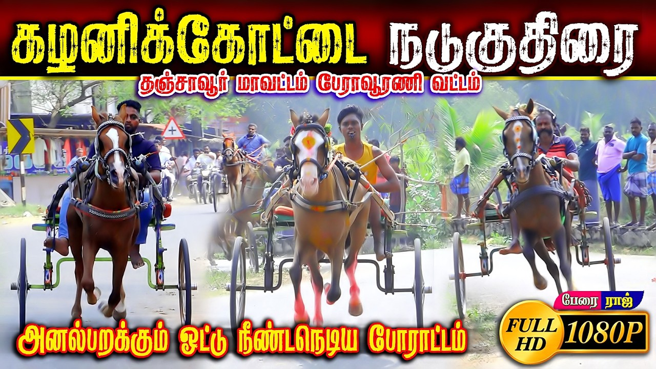 கழனிக்கோட்டை நடுகுதிரை பந்தயம் #perai_raj_digital #reklarace2026