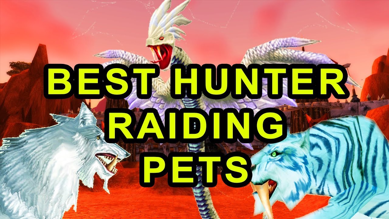 Classic WoW: Best Hunter Raiding Pets - Detailed Guide