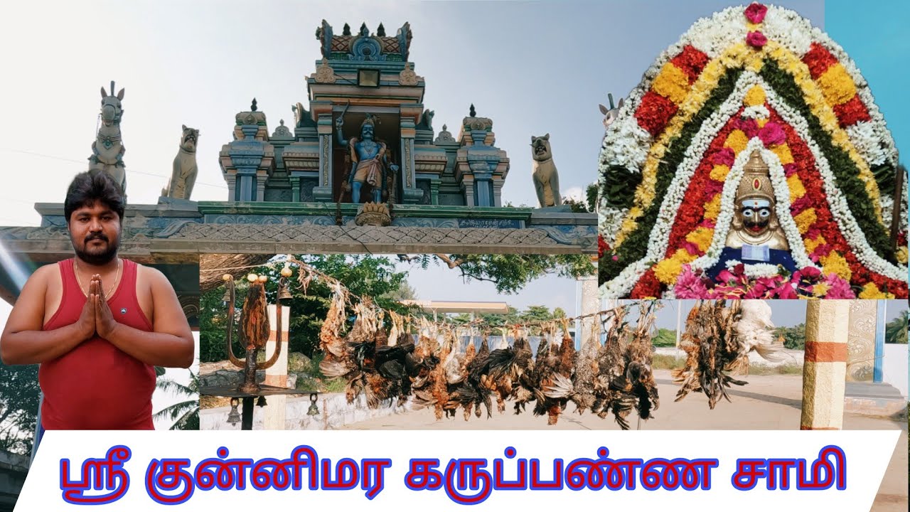கோழி 🐓 தலைகீழாக தொங்கவிட்டால் எதிரி Close ⚰️ /ஶ்ரீ குன்னிமர கருப்பண்ண சாமி கோவில் / Namakkal