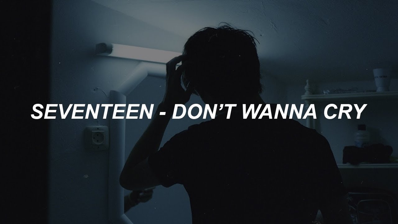 SEVENTEEN (세븐틴) - 울고 싶지 않아 (Don't Wanna Cry) Easy Lyrics