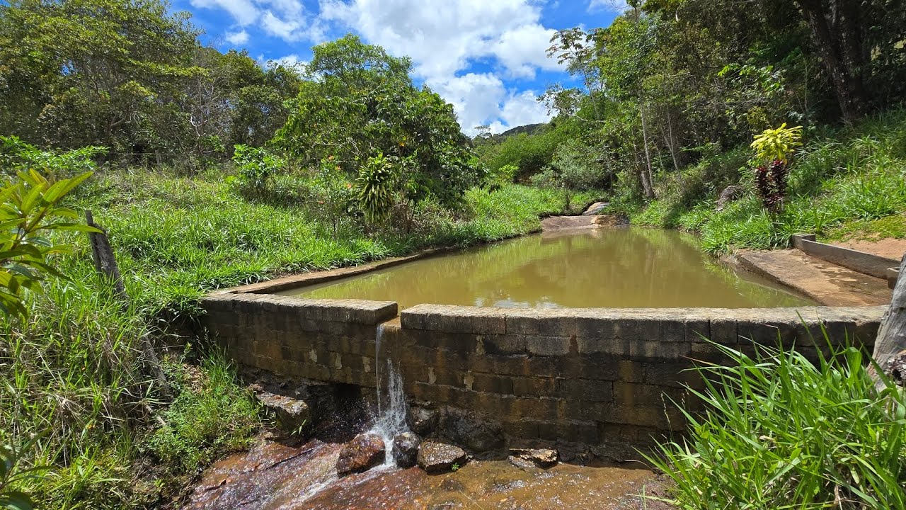 ✨️🌿 SÍTIO SILVA COM PISCINA NATURAL PRA VC E SUA FAMÍLIA VENHA MORAR NO CAMPO R$1.100.000,00