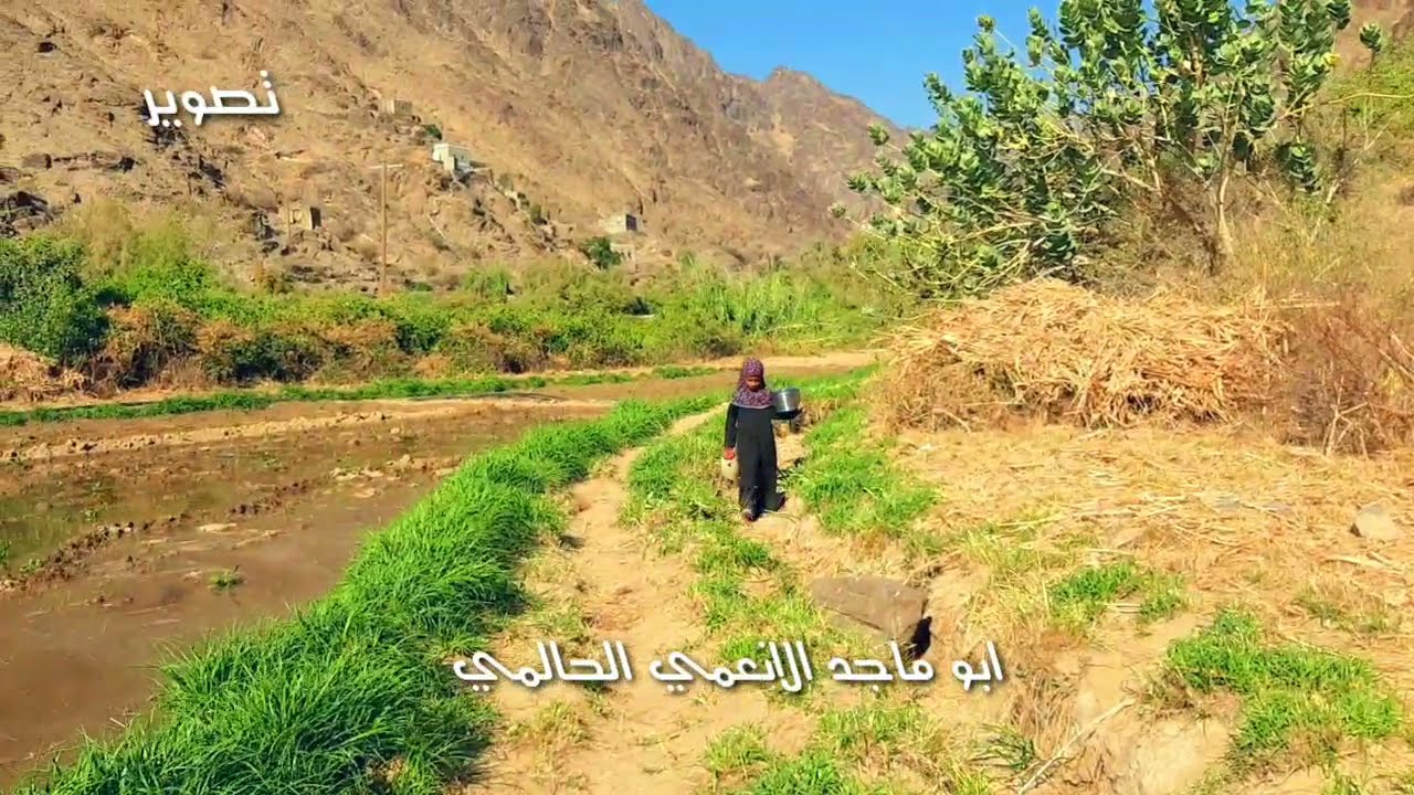 صوت الضبياني دان مع اجوا الريف الجميل حالمين سحر الطبيعه