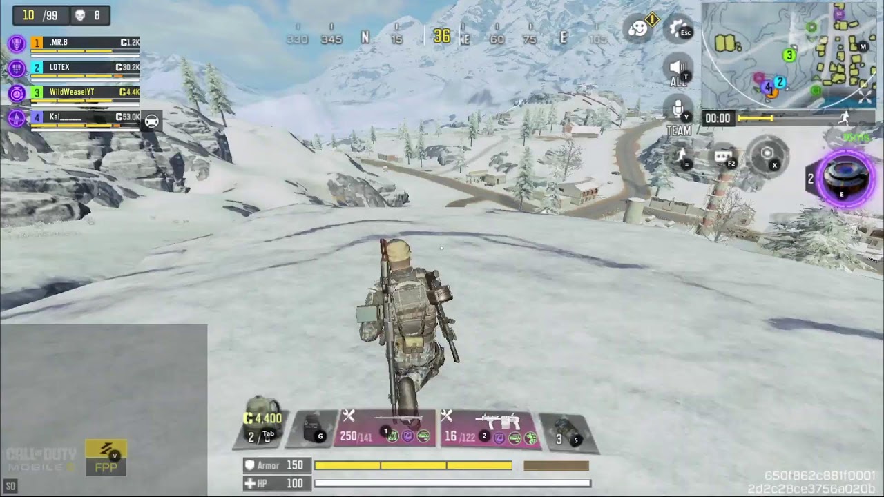 Call of Duty - WildWeasel