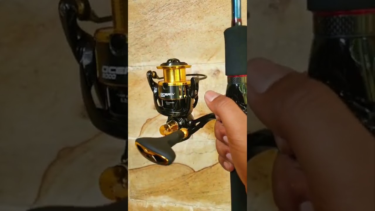 Daido Ocea SW 3000 x Shimano Bassterra GS