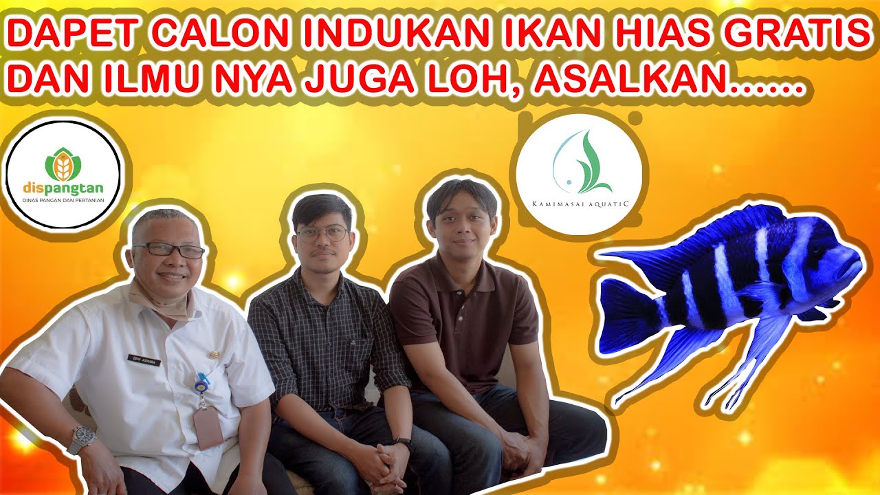 TERIMAKASIH KEPADA DISPANGTAN KOTA BANDUNG KHUSUS NYA BIDANG PERIKANAN, AYO BUDIDAYA IKAN HIAS!!!