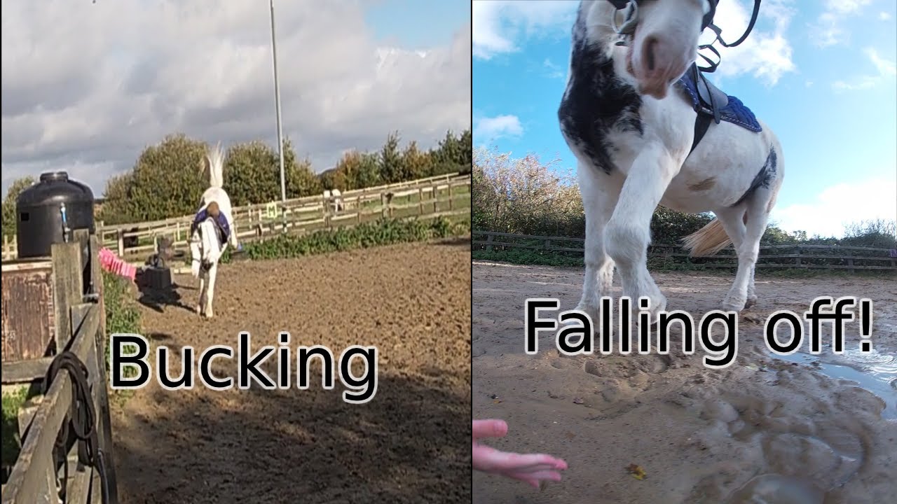 Tack up and ride with me! |falling off | bolting! |Go Pro footage