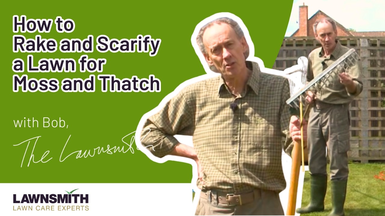 How to Rake and Scarify a Lawn for Moss and Thatch