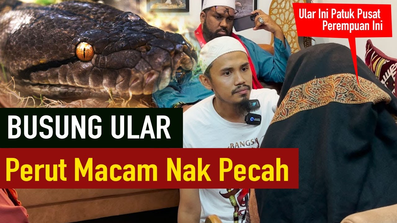 Ular Patuk Perut Wanita Ini Jadi Busung / Saka Keturunan Raja Hadir