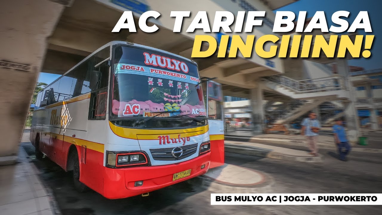 PO MULYO KEMBALI HADIRKAN BUS AC TARIF BIASA | Naik Bus Mulyo Bumel Jogja - Purwokerto
